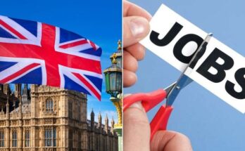 Highest Paying Jobs in the UK (with Salaries) 2024 | Apply Now